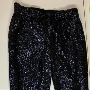Madewell Broadway and Broome Navy Paillette Pants